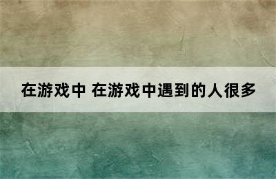 在游戏中 在游戏中遇到的人很多